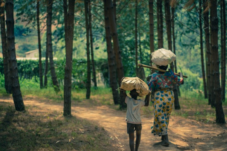 Site Photos (13 of 17)